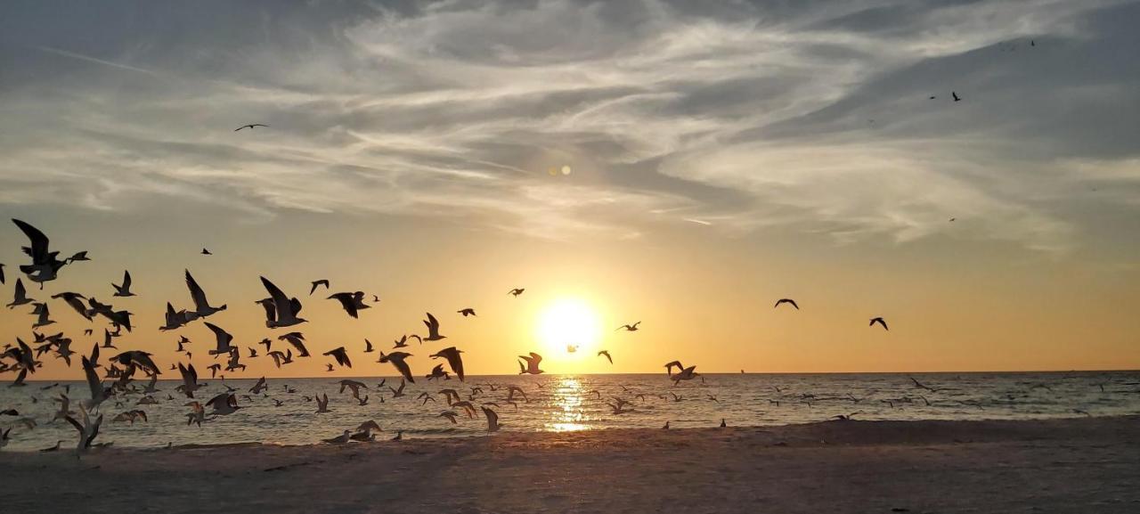 Villa Sunset Vistas 206S -Stunning Gulf Views, Fabulous Amenities! St. Pete Beach Exterior foto